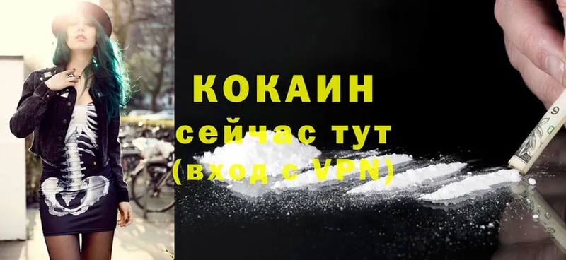 Cocaine Эквадор  купить наркотики цена  ссылка на мегу зеркало  Нерехта 