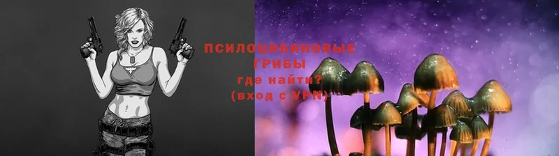 Псилоцибиновые грибы Psilocybine cubensis  мега как зайти  Нерехта 